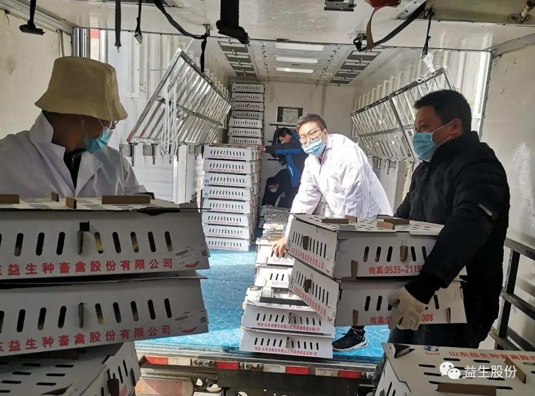 【关注】“疫”见真情，为122cc太阳集成游戏团队点赞